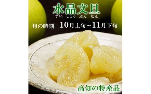 高知県産水晶文旦 特選ご贈答用 2Lサイズ 3個入り ぶんたん
