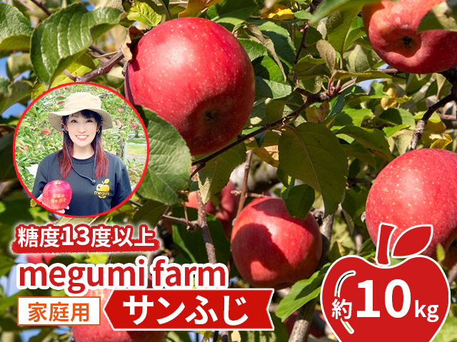 【青森県鰺ヶ沢町】りんご 【 数量限定 】 糖度13度以上 家庭用 サンふじ 約 10kg 糖度 青森 果物 くだもの フルーツ 青森県 鰺ヶ沢