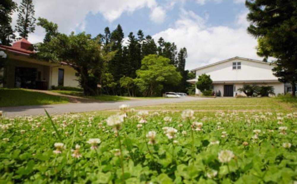 【神村酒造】阿麻和利伝説　守禮3年古酒30度　720ml