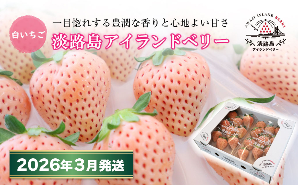 淡路島アイランドベリー 白苺淡雪【2026年3月発送予約受付・お届け日指定不可】　白いちご