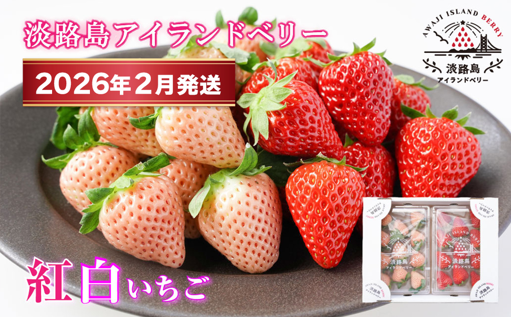 yɌWHszWHAChx[@g@W/ƂƂ߁y2026N2\tE͂wsz@[]