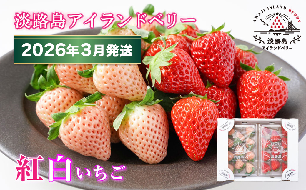 淡路島アイランドベリー　紅白いちご　淡雪/とちおとめ【2026年3月発送予約受付・お届け日指定不可】　[いちご]