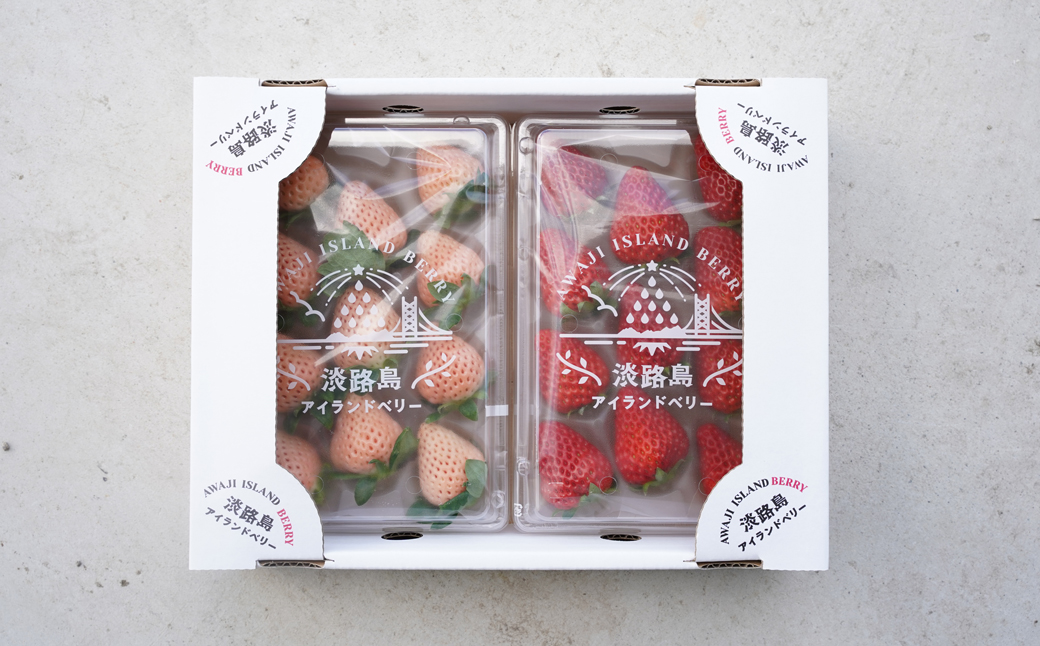 淡路島アイランドベリー　紅白いちご　淡雪/とちおとめ【2026年3月発送予約受付・お届け日指定不可】　[いちご]