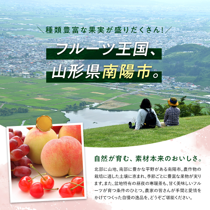 山形県南陽市のふるさと納税 【令和7年産先行予約】 【山形県ぶどう品評会 最優秀賞受賞農家】 シャインマスカット 約1.8kg (3房入り 秀) 《令和7年9月中旬～発送》 『青木農園』 ぶどう 果物 フルーツ [2027]