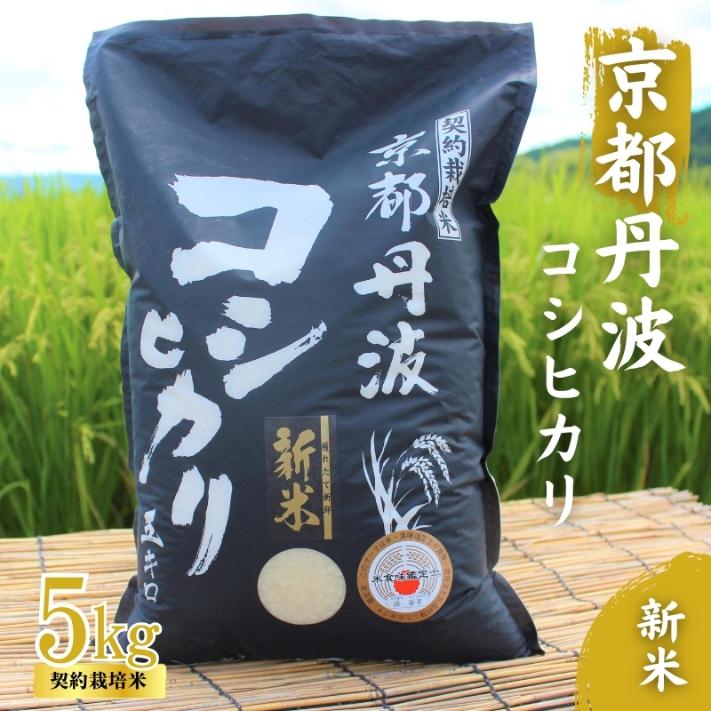 令和7年産 京都丹波産 こしひかり 5kg 契約栽培米 白米 精米 お米 こめ コシヒカリ 令和7年 ご飯 ごはん 京都 京都府 南丹市 新米