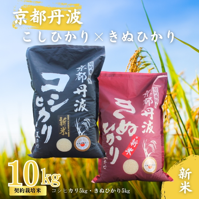 令和7年産 こしひかり きぬひかり 10kg (5kg×2) 食べ比べセット 詰め合わせ 米 白米 精米 お米 こめ コメ コシヒカリ キヌヒカリ 食べ比べ セット 令和7年 ご飯 ごはん 京都 京都府 南丹市