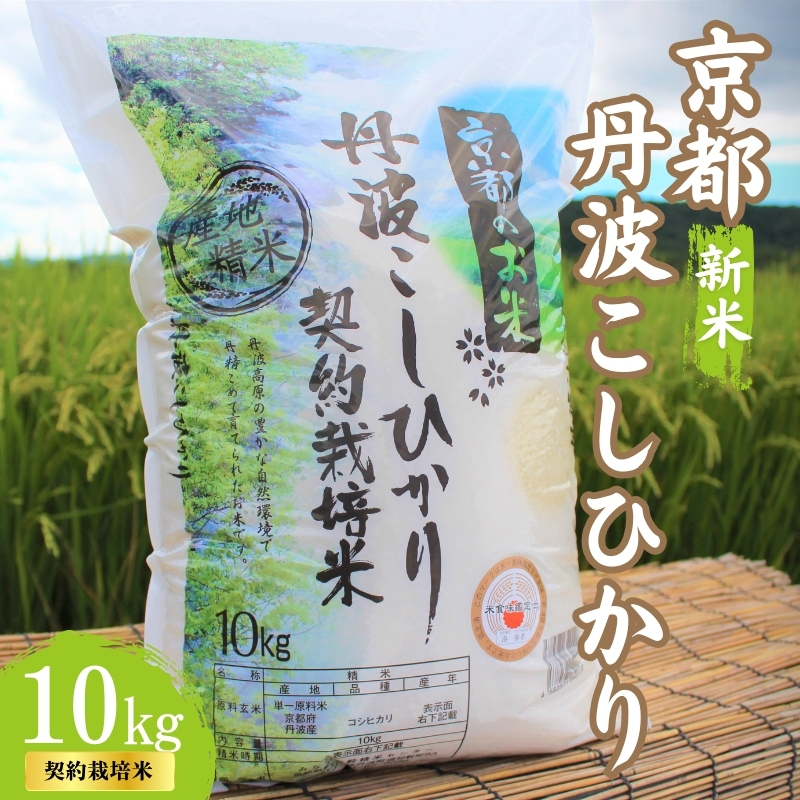 【京都府南丹市】令和7年産 京都丹波産 こしひかり 10kg 契約栽培米  白米 精米 お米 こめ コメ コシヒカリ 令和7年 ご飯 ごはん 京都 京都府 南丹市 新米