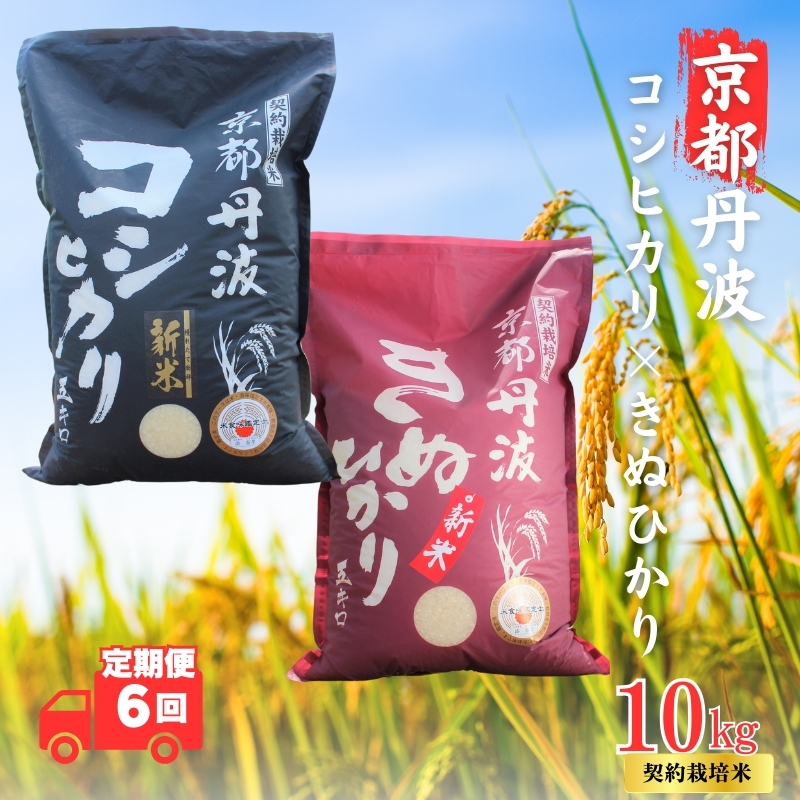 【6カ月定期便】令和7年産 新米 京都丹波産 こしひかり・きぬひかり 食べ比べセット 10kg 合計60kg 白米 精米 お米 こめ コメ コシヒカリ 令和7年 ご飯 ごはん 京都 京都府 南丹市 新米
