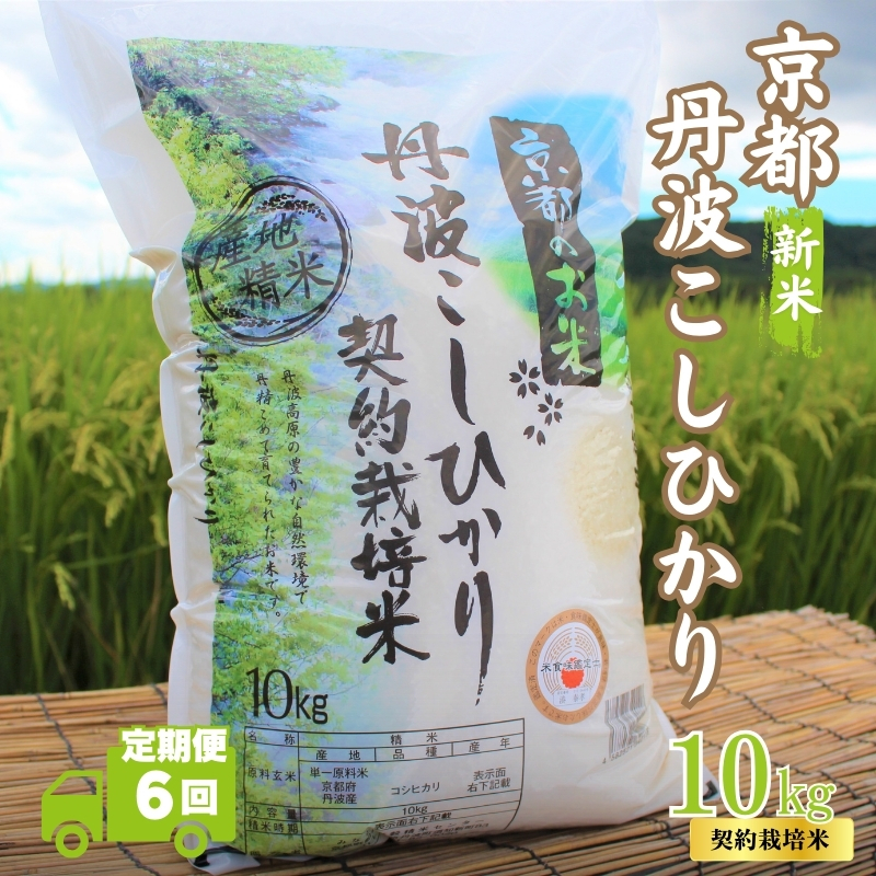 【6カ月定期便】令和7年産 新米 京都丹波産 こしひかり 10kg 合計60kg 白米 精米 お米 こめ コメ コシヒカリ 令和7年 ご飯 ごはん 京都 京都府 南丹市 定期便