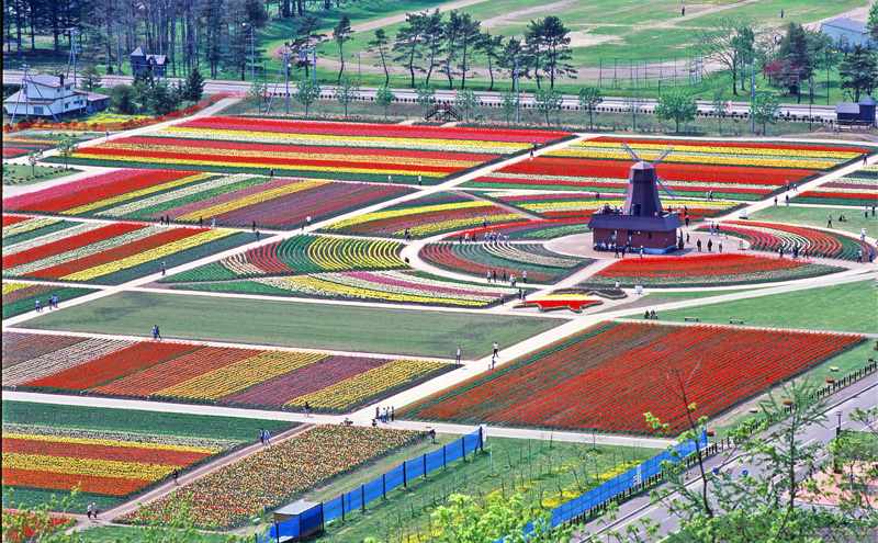 北海道湧別町 寄附のみの応援受付 1,000円コース（返礼品なし 寄附のみ 1000円）