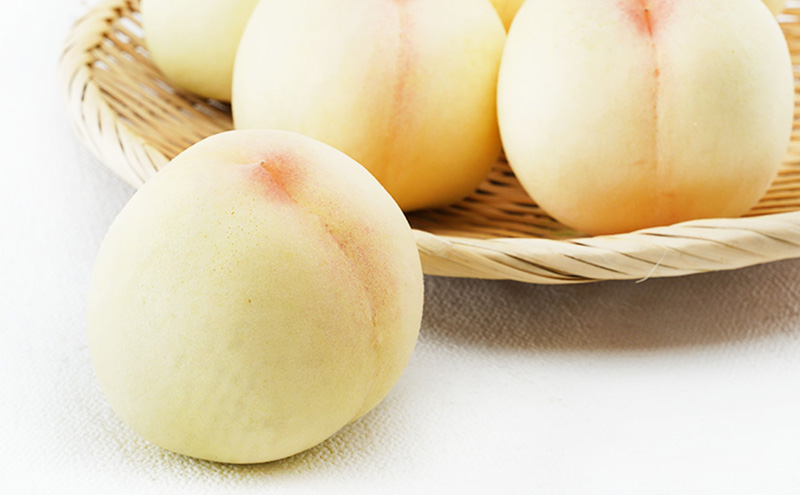 桃 定期便 2026年 先行予約 晴れの国 岡山 の フルーツ 定期便 2回コース 桃食べ比べ 岡山県産 国産 セット ギフト