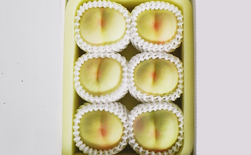 桃 2026年 先行予約 岡山白桃 6玉 (1.6kg以上) 化粧箱入り もも モモ 岡山県産 国産 フルーツ 果物 セット ギフト