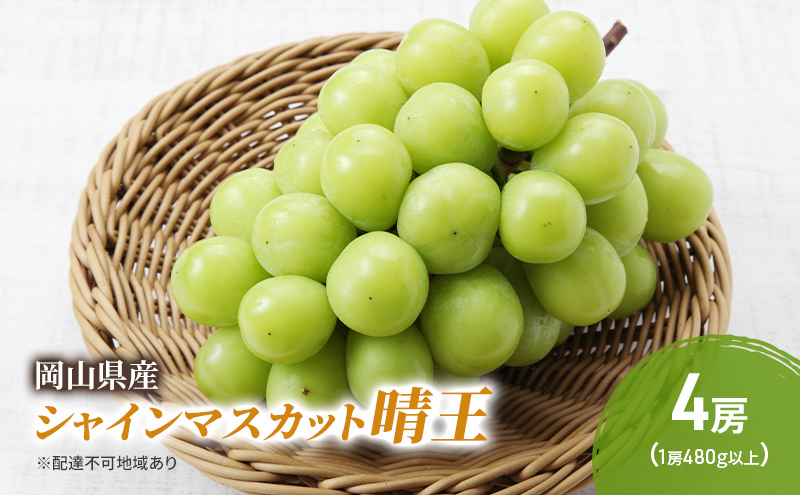 yR˓szԂǂ 2026N s\ VC}XJbg  4[ (1[480gȏ) uhE  RY Y t[c ʕ Mtg