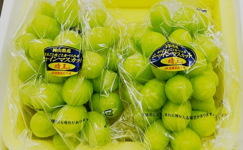 ぶどう 2026年 先行予約 シャインマスカット晴王 2房(1房600g以上) 化粧箱入り ブドウ 葡萄 岡山県産 国産 フルーツ 果物 ギフト