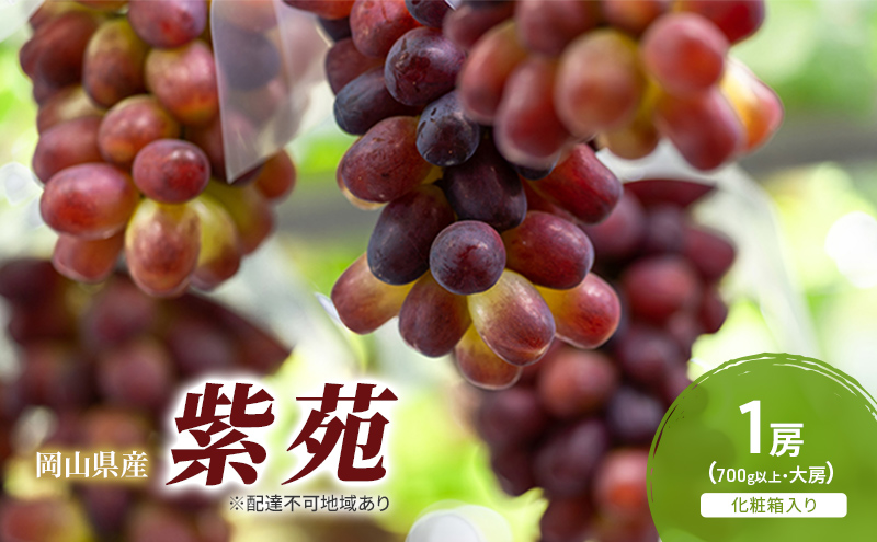 yR˓szԂǂ 2026N s\  1[(700gȏ) ϔ uhE  RY Y t[c ʕ Mtg