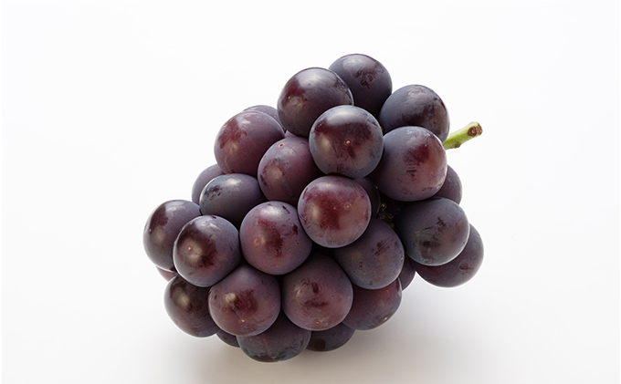 もも ぶどう 2026年 先行予約 詰合/白桃 2玉(1玉220g以上)・ニューピオーネ1房(480g以上)・シャインマスカット 晴王 1房(480g以上) 化粧箱入り 岡山県産 国産 フルーツ 果物 ギフト