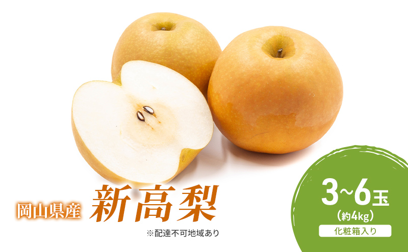 yR˓sz 2026N s\ V 3-6ʁi4kgj ϔ Ȃ iV RY Y t[c ʕ Mtg