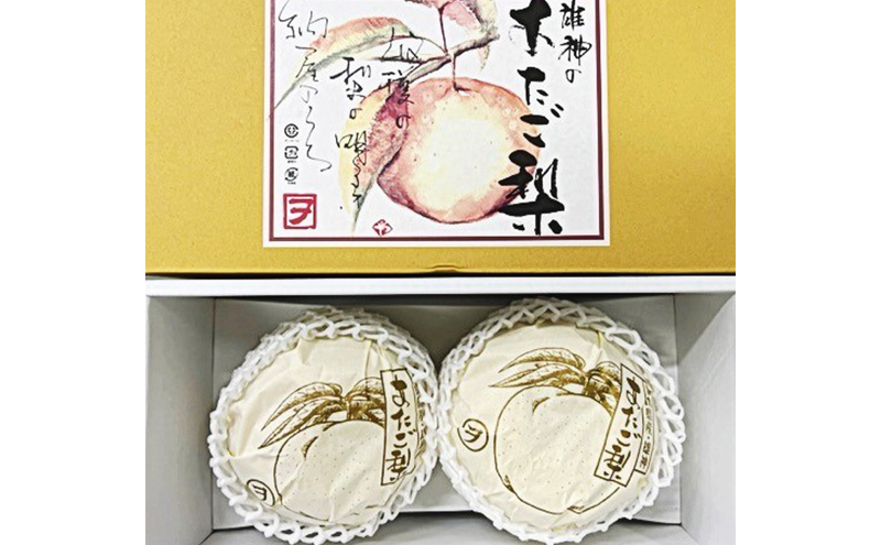 梨 2026年 先行予約 あたご梨 2玉（約1.7kg） 化粧箱入り なし ナシ 岡山県産 国産 フルーツ 果物 ギフト