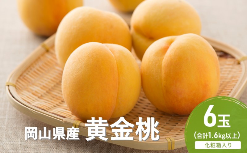 【岡山県瀬戸内市】桃 2026年 先行予約 黄金桃 6玉(1.6kg以上) 化粧箱入り もも モモ 岡山県産 国産 フルーツ 果物 セット ギフト