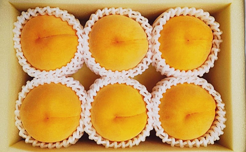 桃 2026年 先行予約 黄金桃 6玉(1.6kg以上) 化粧箱入り もも モモ 岡山県産 国産 フルーツ 果物 セット ギフト