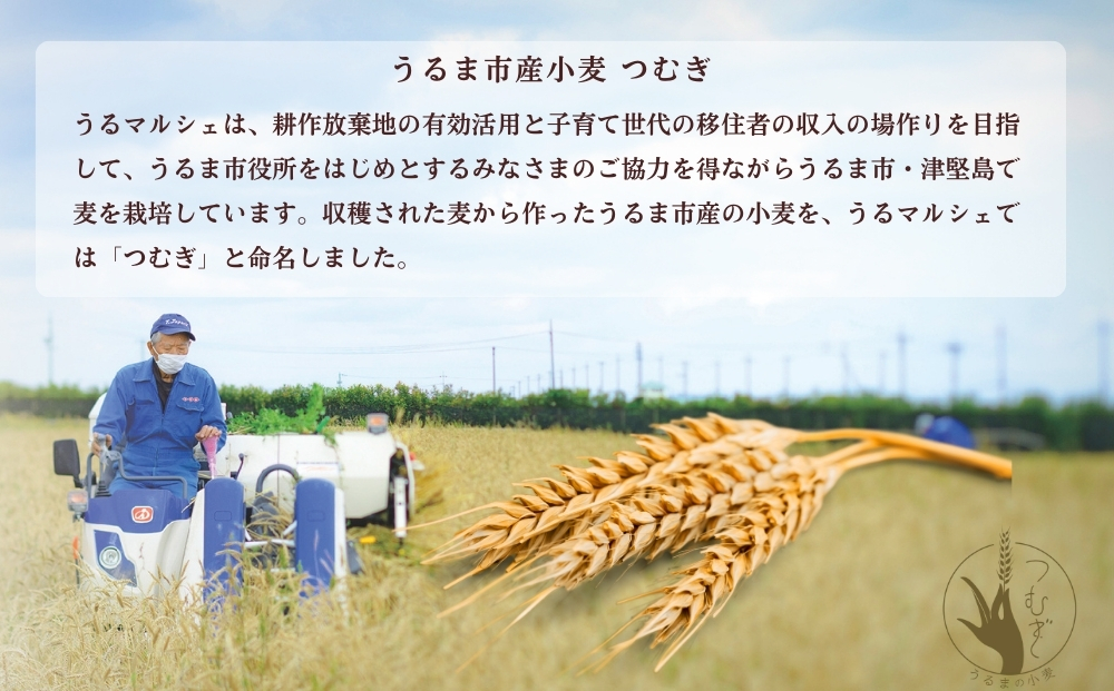 うるマルシェ　うるま市産小麦つむぎ　沖縄そば　三枚肉セット