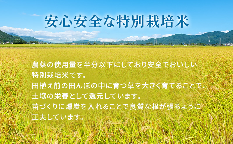 【令和7年産新米予約受付】 特別栽培米 にこまる 白米10kg (5kg×2袋) 東京米スターセレクションKIWAMI米2023 金賞受賞！ 新米 精米 白米 お米 ごはん ご飯 先行予約 単一原料米 こめ