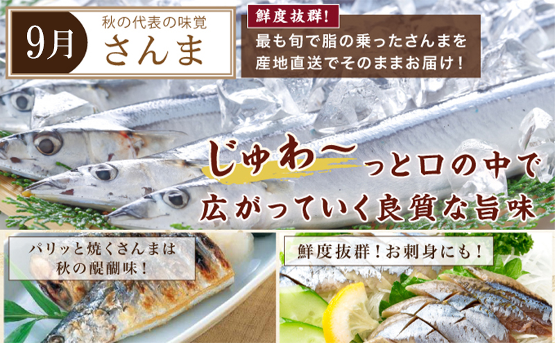 北海道厚岸町のふるさと納税 海鮮 定期便 厚岸旬のふるさとセット 毛ガニ しまえび さんま 牡蠣 4回 お届け