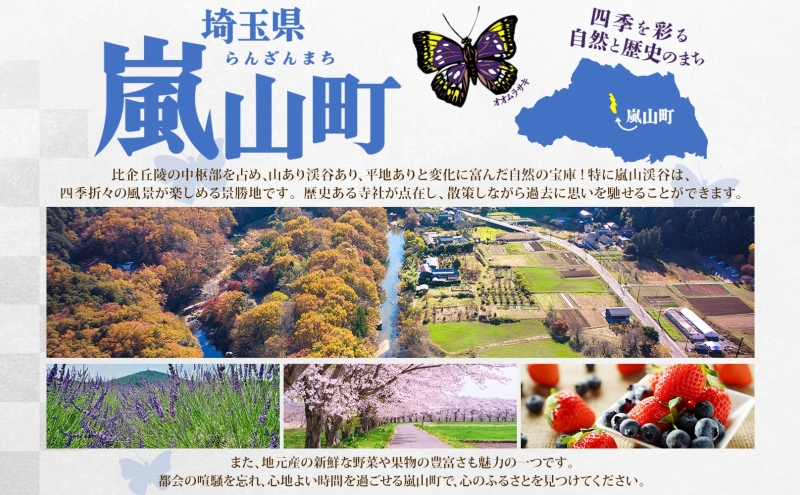 埼玉県嵐山町のふるさと納税 ゼリー ミニッツメイド ぷるんぷるん Qoo りんご 125g 30本入 コカ・コーラ クー パウチ飲料 ゼリー飲料 リンゴ アップル おやつ 子ども ヘルシー ダイエット 低カロリー 備蓄 保存料不使用 防災 非常食 埼玉県 嵐山町 詰め合わせ フルーツ 飲み物