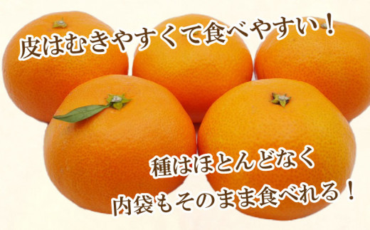 先行予約 訳あり 愛媛みかん 3kg 7000円 愛媛 みかん 温州みかん こたつ みかん mikan 蜜柑 ミカン 家庭用 産地直送 国産 農家直送 糖度 期間限定 数量限定 特産品 ゼリー ジュース アイス 人気 限定 甘い フルーツ 果物 柑橘 先行 事前 予約 受付 ビタミン 美味しい おいしい サイズ ミックス 吉田農園 愛南町 愛媛県