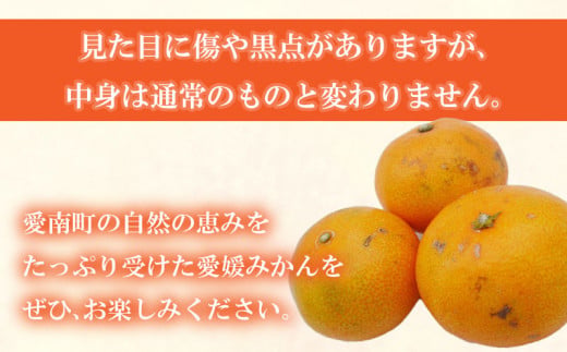 先行予約 訳あり 愛媛みかん 3kg 7000円 愛媛 みかん 温州みかん こたつ みかん mikan 蜜柑 ミカン 家庭用 産地直送 国産 農家直送 糖度 期間限定 数量限定 特産品 ゼリー ジュース アイス 人気 限定 甘い フルーツ 果物 柑橘 先行 事前 予約 受付 ビタミン 美味しい おいしい サイズ ミックス 吉田農園 愛南町 愛媛県