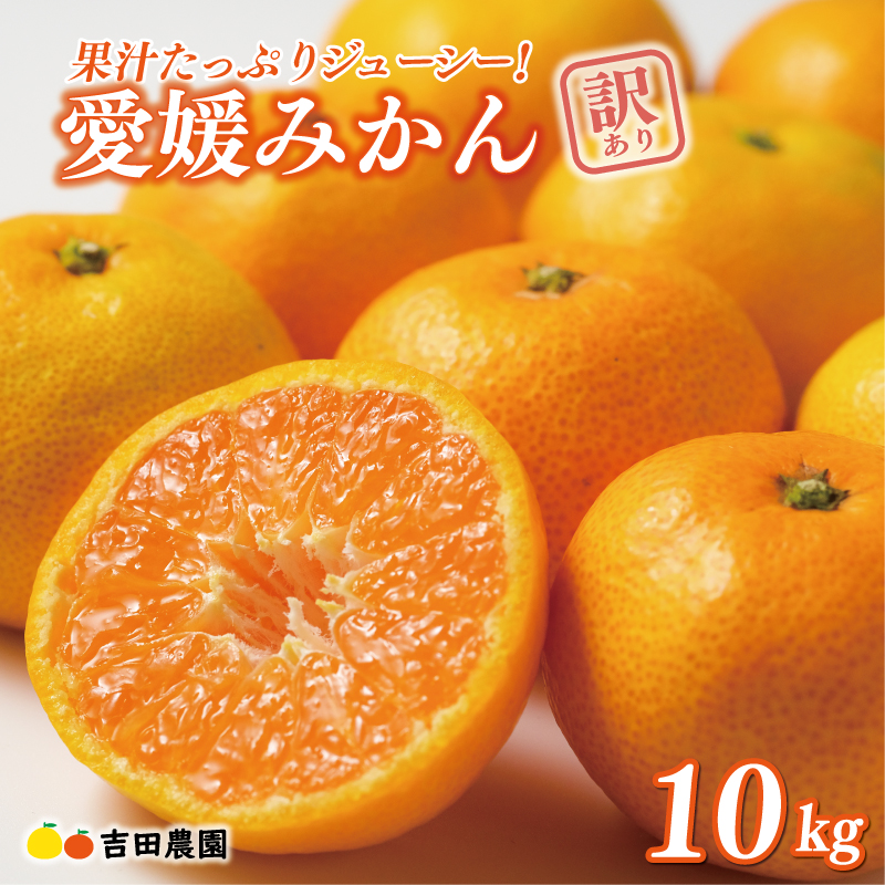先行予約 訳あり 愛媛みかん 10kg 18000円 愛媛 みかん 温州みかん こたつ みかん mikan 蜜柑 ミカン 家庭用 産地直送 国産 農家直送 糖度 期間限定 数量限定 特産品 ゼリー ジュース アイス 人気 限定 甘い フルーツ 果物 柑橘 先行 事前 予約 受付 ビタミン 美味しい おいしい サイズ ミックス 吉田農園 愛南町 愛媛県