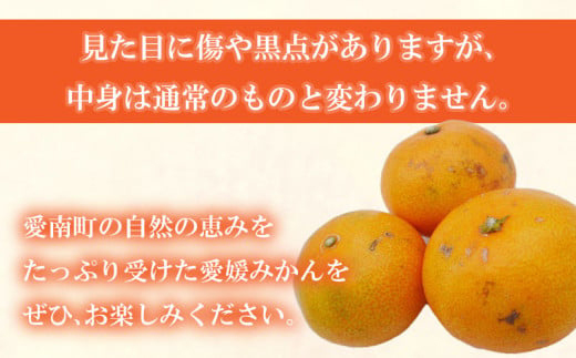 先行予約 訳あり 愛媛みかん 10kg 18000円 愛媛 みかん 温州みかん こたつ みかん mikan 蜜柑 ミカン 家庭用 産地直送 国産 農家直送 糖度 期間限定 数量限定 特産品 ゼリー ジュース アイス 人気 限定 甘い フルーツ 果物 柑橘 先行 事前 予約 受付 ビタミン 美味しい おいしい サイズ ミックス 吉田農園 愛南町 愛媛県