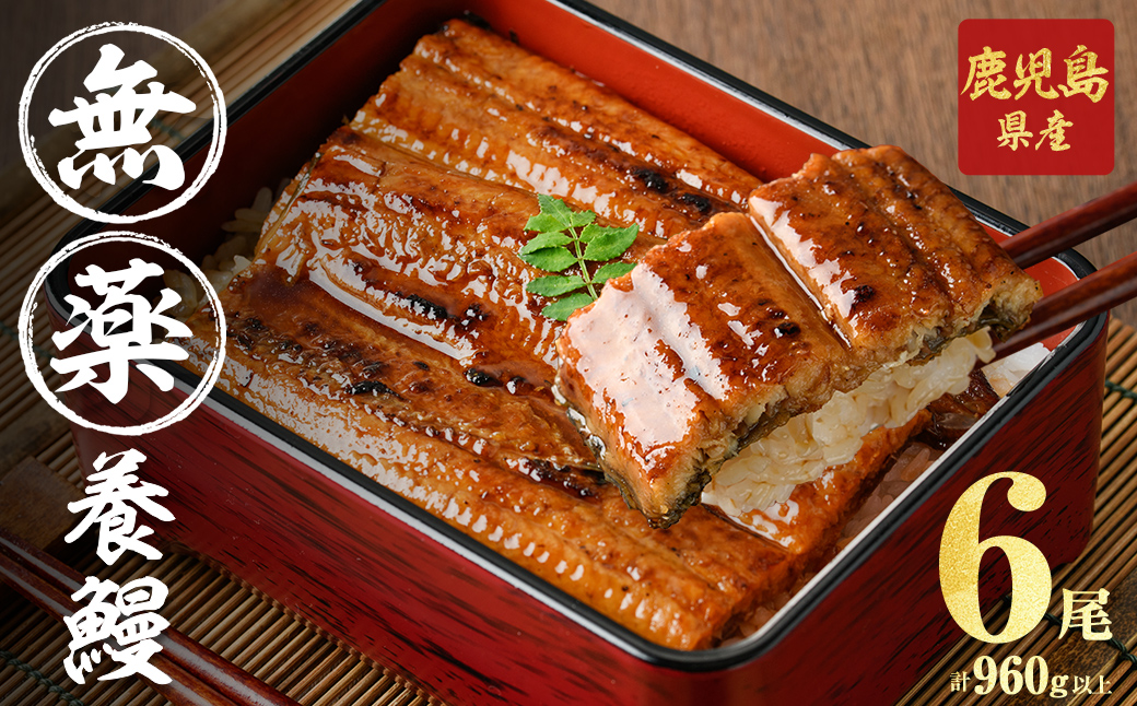 【無薬養鰻】 鹿児島産 山田のうなぎ ＜計