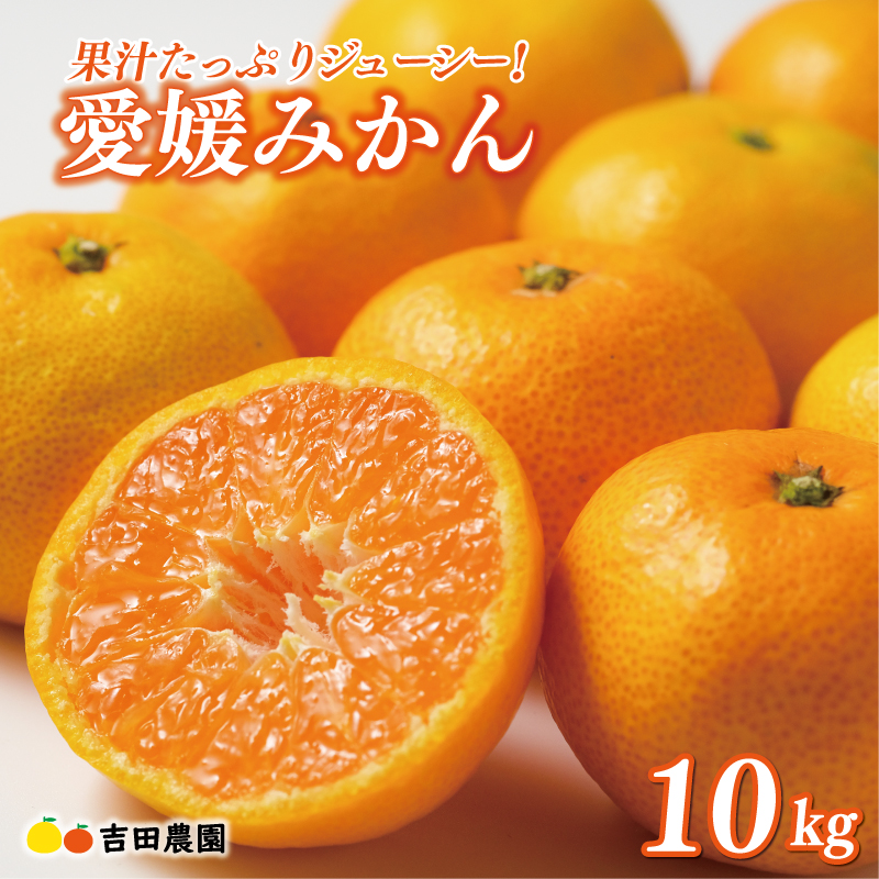 先行予約 愛媛みかん 10kg 24000円 愛媛 みかん 温州みかん こたつ みかん mikan 蜜柑 ミカン 家庭用 贈答用 ギフト プレゼント お歳暮 産地直送 国産 農家直送 糖度 期間限定 数量限定 特産品 ゼリー ジュース アイス 人気 限定 甘い フルーツ 果物 柑橘 先行 事前 予約 受付 ビタミン 美味しい おいしい 吉田農園 愛南町 愛媛県