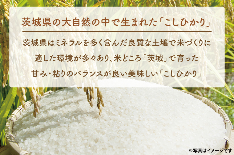 茨城県大洗町のふるさと納税 ＜令和6年産＞吟穂豊穣こしひかり5kg 精米 コシヒカリ こしひかり 米 ごはん コメ お米 白米 国産 茨城県産