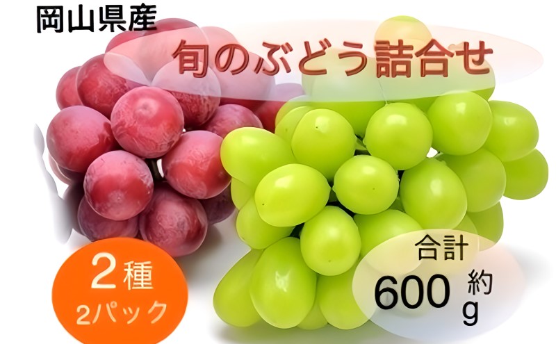 ぶどう 2025年 先行予約 旬のぶどう詰合せ 2種2パックセット