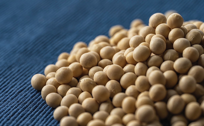 なめらか 豆乳プリン 3個 セット 詰め合わせ おやつ お菓子 菓子 デザート スイーツ 国産大豆 ミヤギシロメ プリン なめらかプリン 消泡剤不使用 宮城 宮城県 岩沼市