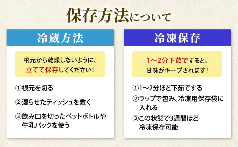 北海道 洞爺湖町産 グリーンアスパラ 約1kg L～2L混合 5月下旬頃お届け 2026 先行受付 路地 アスパラ アスパラガス 野菜 農作物 サラダ 天ぷら 新鮮 国産 人気 お取寄せ 産地直送 冷蔵 洞爺湖 