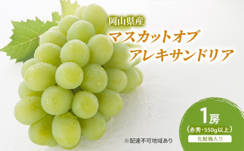 ぶどう 2026年 先行予約 マスカットオブアレキサンドリア 1房(550g以上・赤秀) 化粧箱入り