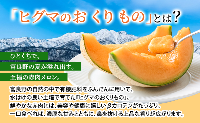 【2026年夏発送】富良野産 ヒグマのおくりもの(メロン)[1玉2kg以上] フルーツ 果物
