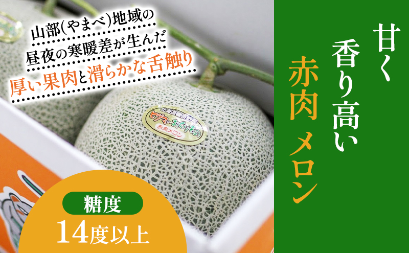 【2026年夏発送】富良野産 ヒグマのおくりもの(メロン)[4玉 計8kg以上]フルーツ 果物