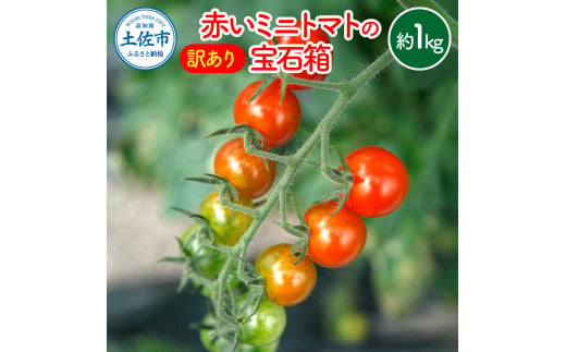 【高知県土佐市】訳あり 赤いミニトマトの宝石箱 約1キロ 約1kg トマト とまと ミックス 詰め合わせ セット 野菜 料理 サラダ マリネ パスタ 浅漬け おやつ 弁当 甘味 酸味 新鮮 訳アリ 家庭用 ご自宅用