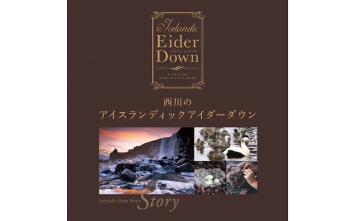 【nishikawa/西川】羽毛掛けふとんアイスランドアイダ—ダウン【P333W】