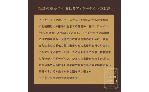 【nishikawa/西川】羽毛掛けふとんアイスランドアイダ—ダウン【P333W】