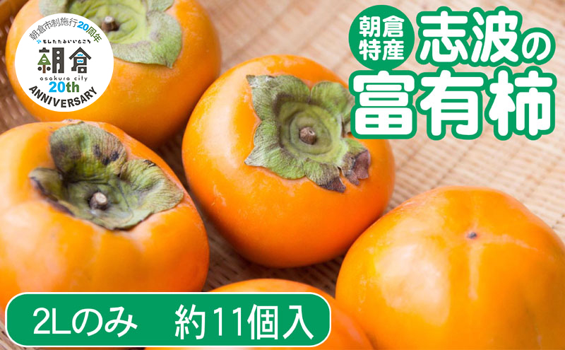 【朝倉市制施行20周年記念企画】 柿 志波