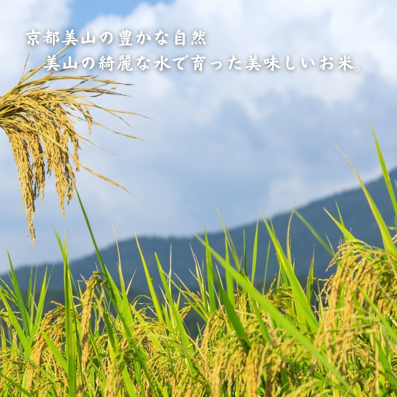 新米 令和6年産 コシヒカリ こと美山米 5kg 米 白米 精米 お米 こめ コメ こしひかり 令和6年 特別栽培米 ご飯 ごはん 京都 京都府 南丹市
