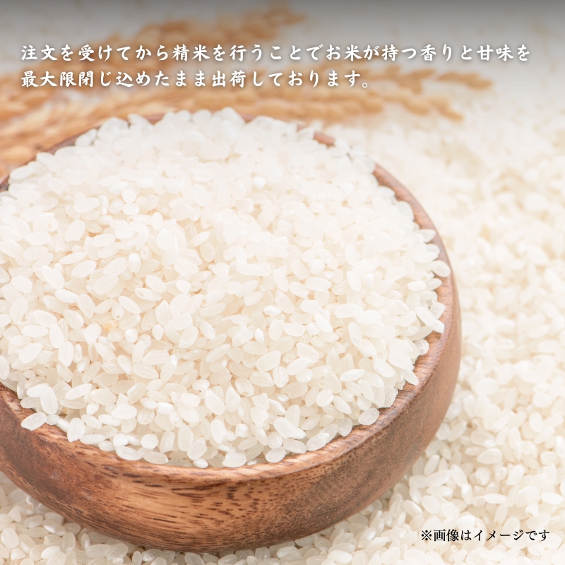 新米 令和6年産 コシヒカリ こと美山米 10kg (5kg×2袋) 米 白米 精米 お米 こめ コメ こしひかり 令和6年 特別栽培米 ご飯 ごはん 京都 京都府 南丹市