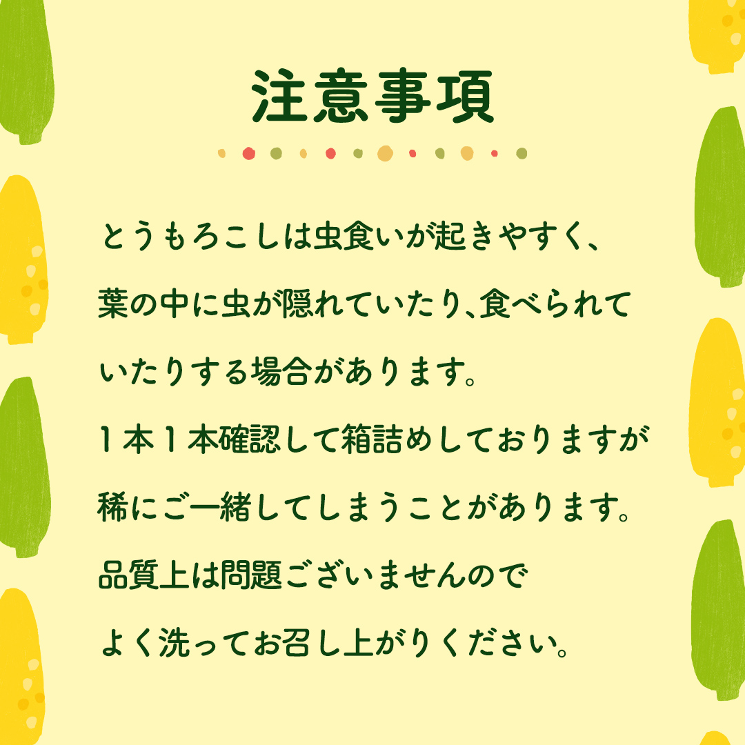 茨城県八千代町のふるさと納税 【先行予約 2026年6月下旬以降発送 】 【 令和8年産 】 【 訳あり 】 朝採り とうもろこし （ ゴールドラッシュ ） 約 6kg トウモロコシ スイートコーン コーン 野菜 産地直送 期間限定 岩田さん 昼めし旅 [AX021ya]
