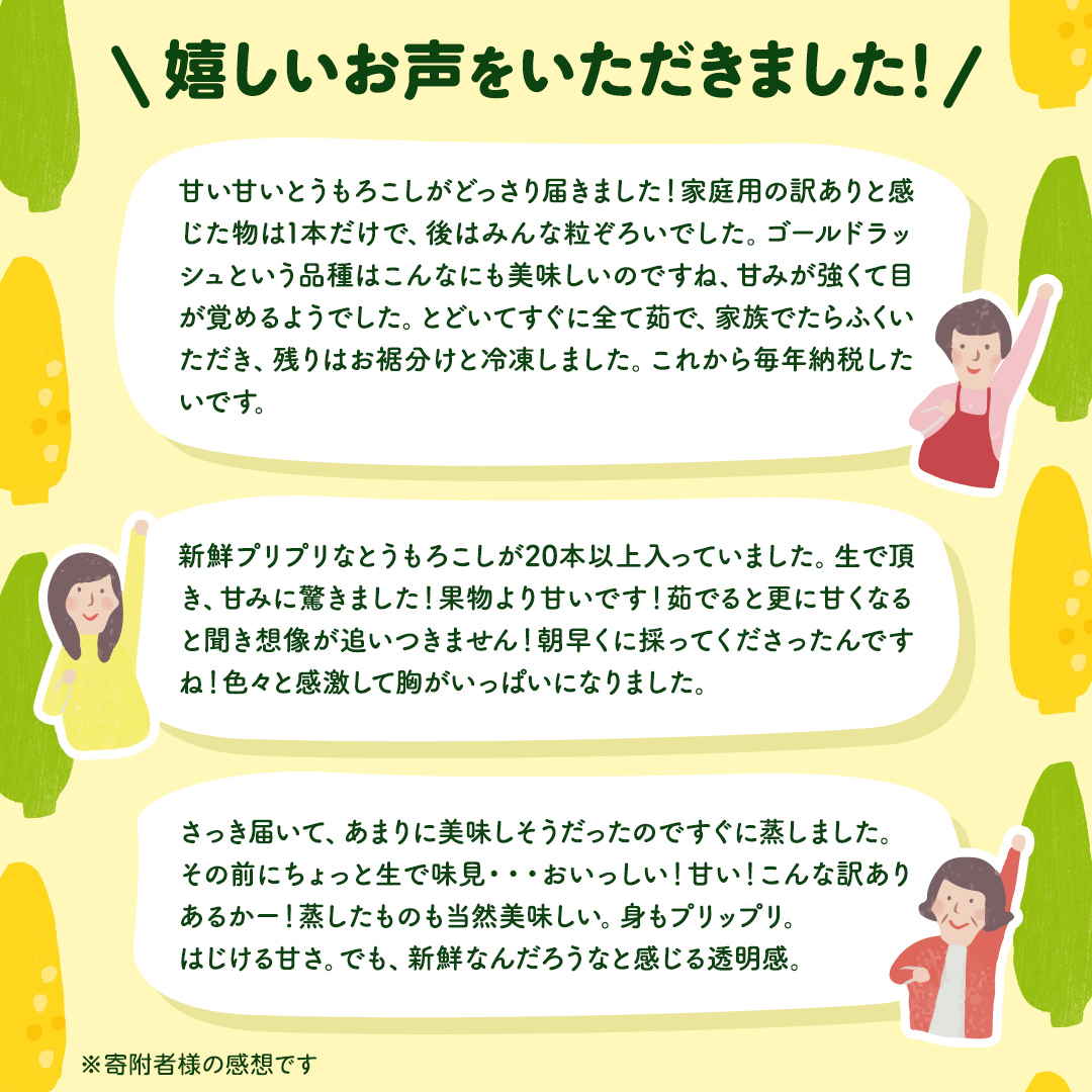 茨城県八千代町のふるさと納税 【先行予約 2026年6月下旬以降発送 】 【 令和8年産 】 【 訳あり 】 朝採り とうもろこし （ ゴールドラッシュ ） 約 6kg トウモロコシ スイートコーン コーン 野菜 産地直送 期間限定 岩田さん 昼めし旅 [AX021ya]