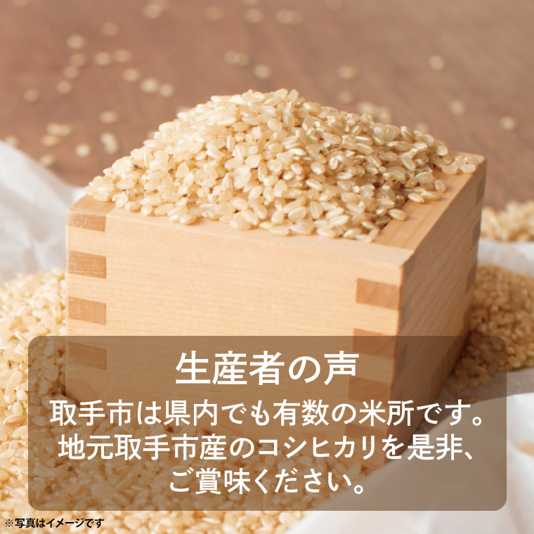 【令和7年度産】取手市産 コシヒカリ 玄米30kg | 米 玄米 こしひかり JA 茨城県 取手市 （AR003）